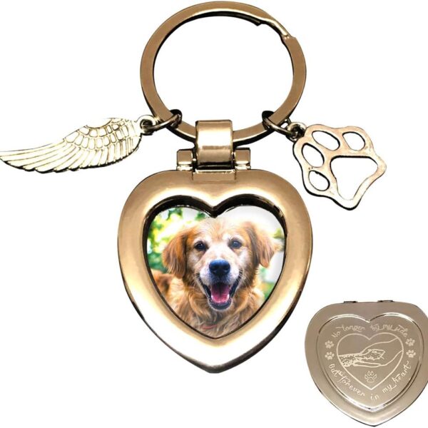 JOEZITON Pet Memorial Gifts (Opts) Passed Away Personalized Family Picture Frame or Keychain Jewelry Angel with Paws for Loss of Dogs or Cats.(K1)