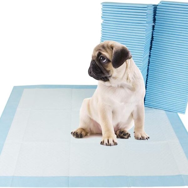 BV Pet Potty Training Pads for Dogs Puppy Pads, Pee Pads, Quick Absorb, 22" x 22" Training Pad, 100 Count Dog Pee Pads, Doggie Pads, Disposable Puppy Pee Pads